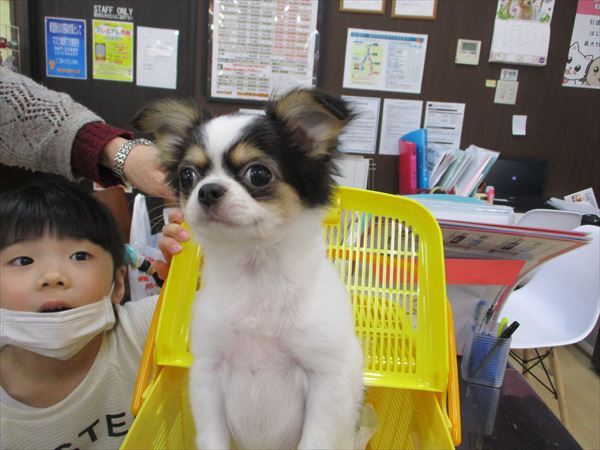写真